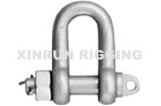 SHACKLES DIN 82101